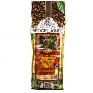 Кофе зерновой Brocelliande Maragogype Nicaragua 250г
